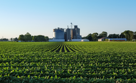 Ag Services