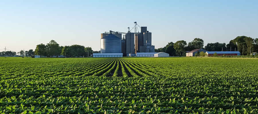 Ag Services