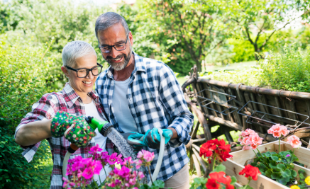 Mature Couple Gardening