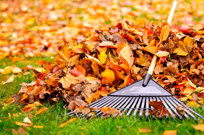 Fall Home Maintenance Checklist